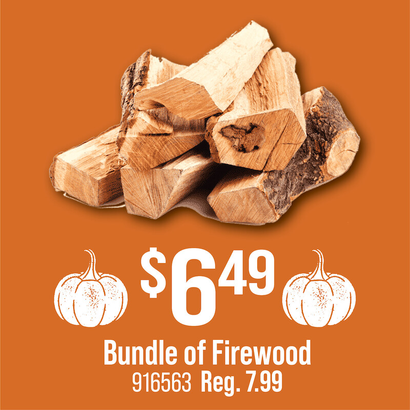 Bundle of Firewood