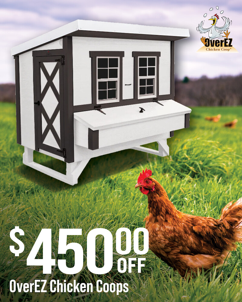 OverEZ Chicken Coops